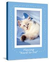 Hard-To-Pet-Rachael Hale-Stretched Canvas