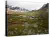 Hardangervidda, Telemark, Norway, Scandinavia, Europe-Hans Peter Merten-Stretched Canvas