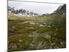 Hardangervidda, Telemark, Norway, Scandinavia, Europe-Hans Peter Merten-Mounted Photographic Print