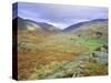 Hardknott Pass, Lake District National Park, Cumbria, England, UK-Roy Rainford-Stretched Canvas