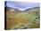 Hardknott Pass, Lake District National Park, Cumbria, England, UK-Roy Rainford-Stretched Canvas