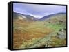 Hardknott Pass, Lake District National Park, Cumbria, England, UK-Roy Rainford-Framed Stretched Canvas