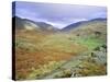 Hardknott Pass, Lake District National Park, Cumbria, England, UK-Roy Rainford-Stretched Canvas