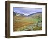 Hardknott Pass, Lake District National Park, Cumbria, England, UK-Roy Rainford-Framed Photographic Print