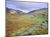 Hardknott Pass, Lake District National Park, Cumbria, England, UK-Roy Rainford-Mounted Photographic Print