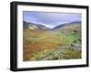 Hardknott Pass, Lake District National Park, Cumbria, England, UK-Roy Rainford-Framed Photographic Print