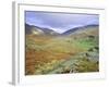 Hardknott Pass, Lake District National Park, Cumbria, England, UK-Roy Rainford-Framed Photographic Print