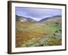 Hardknott Pass, Lake District National Park, Cumbria, England, UK-Roy Rainford-Framed Photographic Print