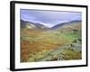 Hardknott Pass, Lake District National Park, Cumbria, England, UK-Roy Rainford-Framed Photographic Print