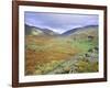 Hardknott Pass, Lake District National Park, Cumbria, England, UK-Roy Rainford-Framed Photographic Print