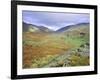 Hardknott Pass, Lake District National Park, Cumbria, England, UK-Roy Rainford-Framed Photographic Print