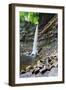 Hardraw Force in Wensleydale-Mark Sunderland-Framed Photographic Print