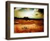 Hardscrabble-Katherine Sanderson-Framed Photographic Print