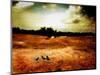 Hardscrabble-Katherine Sanderson-Mounted Photographic Print