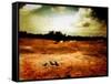 Hardscrabble-Katherine Sanderson-Framed Stretched Canvas