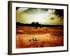 Hardscrabble-Katherine Sanderson-Framed Photographic Print