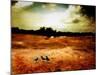 Hardscrabble-Katherine Sanderson-Mounted Photographic Print