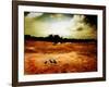 Hardscrabble-Katherine Sanderson-Framed Photographic Print