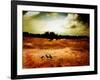 Hardscrabble-Katherine Sanderson-Framed Photographic Print