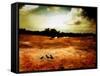 Hardscrabble-Katherine Sanderson-Framed Stretched Canvas