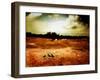 Hardscrabble-Katherine Sanderson-Framed Photographic Print