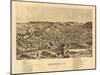 Hardwick, Vermont - Panoramic Map-Lantern Press-Mounted Art Print