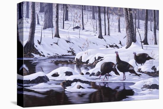 Hardwood Creek - Wild Turkeys-Wilhelm Goebel-Stretched Canvas