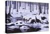 Hardwood Creek - Wild Turkeys-Wilhelm Goebel-Stretched Canvas