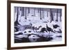 Hardwood Creek - Wild Turkeys-Wilhelm Goebel-Framed Giclee Print