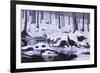 Hardwood Creek - Wild Turkeys-Wilhelm Goebel-Framed Giclee Print