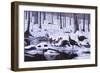 Hardwood Creek - Wild Turkeys-Wilhelm Goebel-Framed Giclee Print