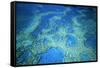 Hardy Reef Aerial of Coral Formations-null-Framed Stretched Canvas