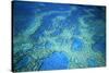 Hardy Reef Aerial of Coral Formations-null-Stretched Canvas