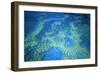 Hardy Reef Aerial of Coral Formations-null-Framed Photographic Print