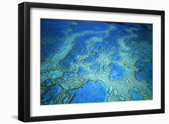 Hardy Reef Aerial of Coral Formations-null-Framed Photographic Print