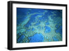 Hardy Reef Aerial of Coral Formations-null-Framed Photographic Print