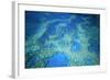 Hardy Reef Aerial of Coral Formations-null-Framed Photographic Print