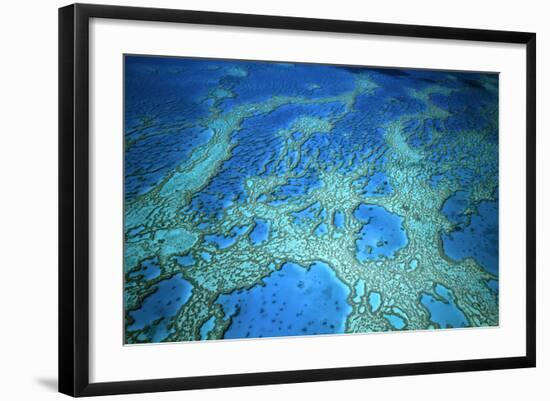 Hardy Reef Aerial of Coral Formations-null-Framed Photographic Print