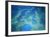 Hardy Reef Aerial of Coral Formations-null-Framed Photographic Print