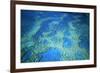 Hardy Reef Aerial of Coral Formations-null-Framed Photographic Print