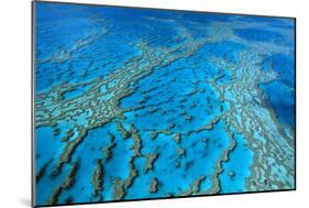 Hardy Reef Coral Formations-null-Mounted Photographic Print