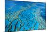 Hardy Reef Coral Formations-null-Mounted Photographic Print