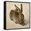 Hare, 1502-Albrecht Dürer-Framed Stretched Canvas