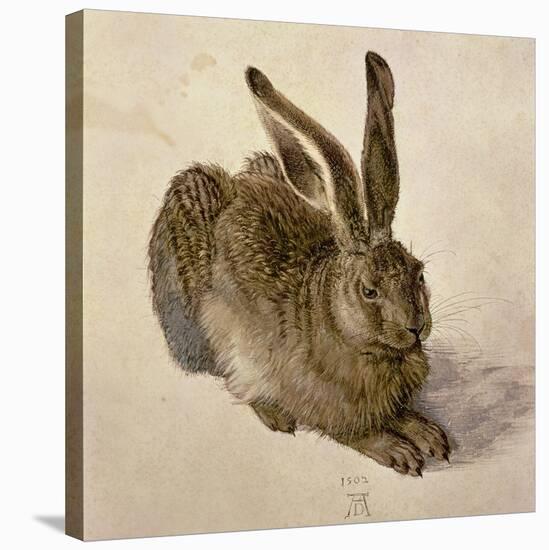 Hare, 1502-Albrecht Dürer-Stretched Canvas