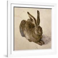 Hare, 1502-Albrecht Dürer-Framed Giclee Print