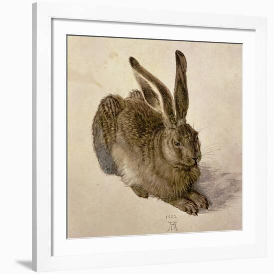 Hare, 1502-Albrecht Dürer-Framed Giclee Print