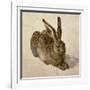 Hare, 1502-Albrecht Dürer-Framed Giclee Print