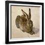 Hare, 1502-Albrecht Dürer-Framed Giclee Print