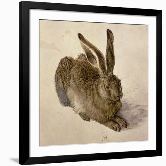 Hare, 1502-Albrecht Dürer-Framed Giclee Print