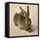 Hare, 1502-Albrecht Dürer-Framed Stretched Canvas